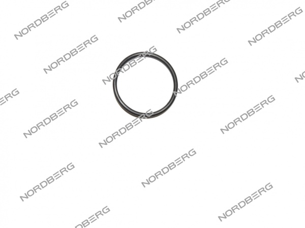 Кольцо уплотнительное №59 для NO5025
