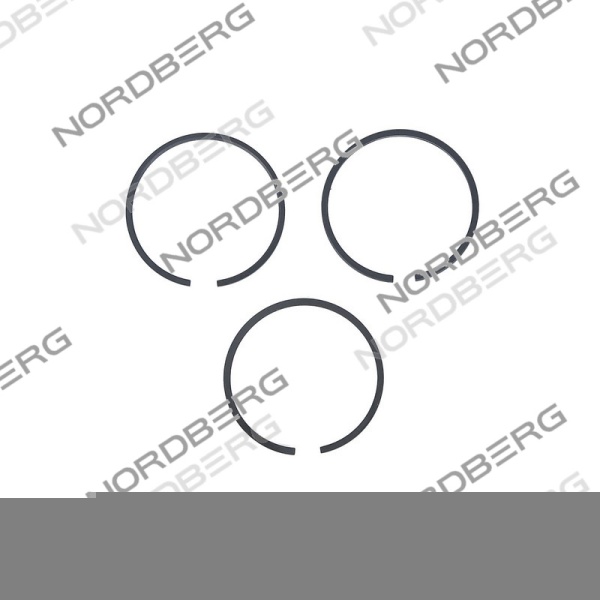 Комплект поршневых колец D55 для NCP100/360A